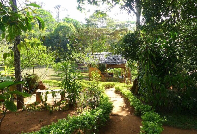 ホテル Amani Forest Camp Emau Hill