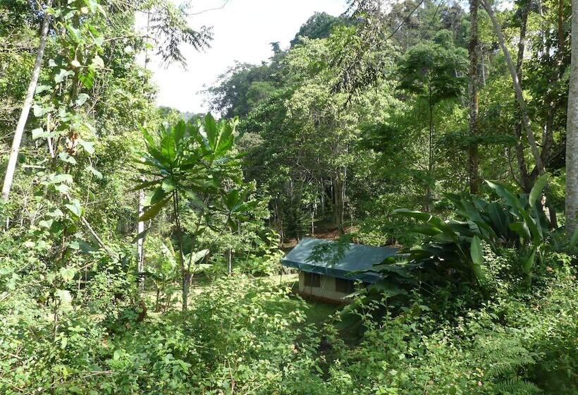 ホテル Amani Forest Camp Emau Hill