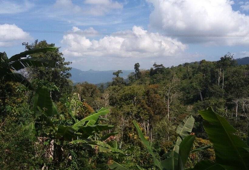 ホテル Amani Forest Camp Emau Hill