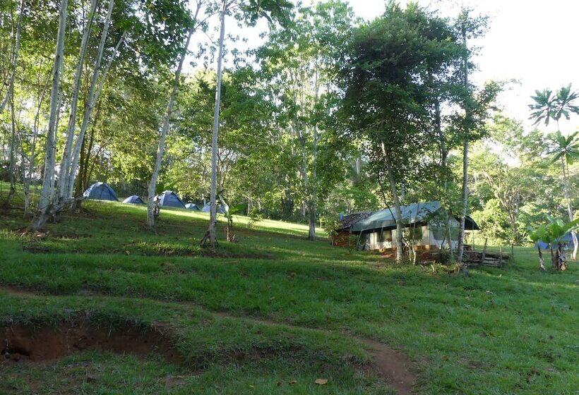 ホテル Amani Forest Camp Emau Hill