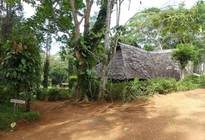 ホテル Amani Forest Camp Emau Hill