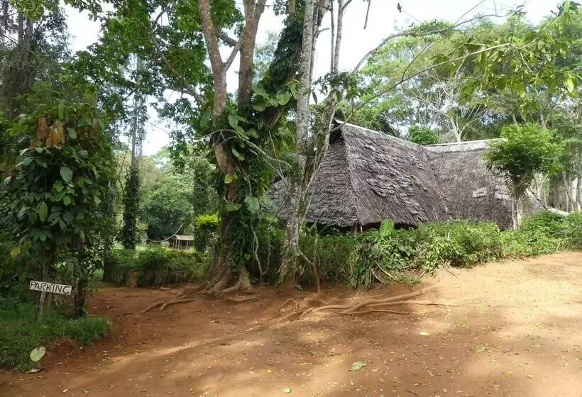 ホテル Amani Forest Camp Emau Hill