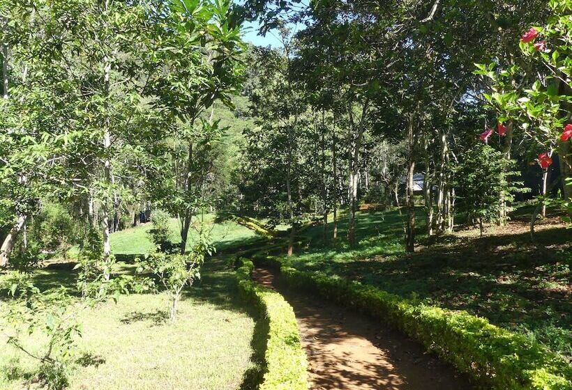 ホテル Amani Forest Camp Emau Hill