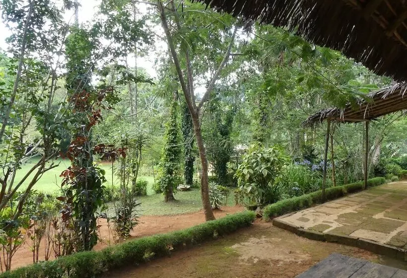 ホテル Amani Forest Camp Emau Hill