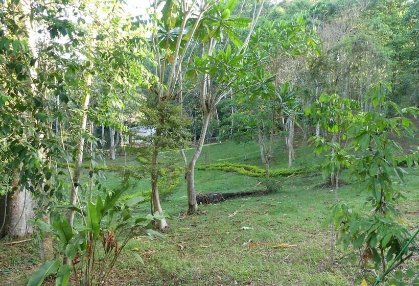 ホテル Amani Forest Camp Emau Hill