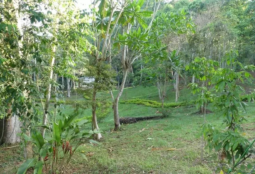 ホテル Amani Forest Camp Emau Hill