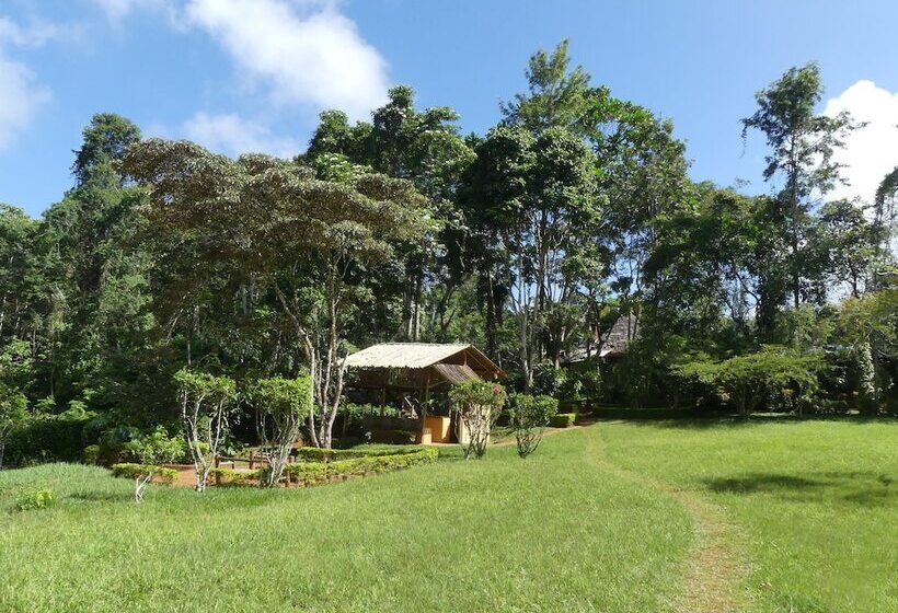 ホテル Amani Forest Camp Emau Hill