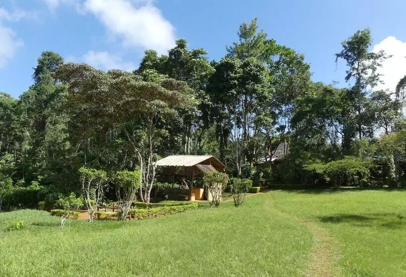 ホテル Amani Forest Camp Emau Hill