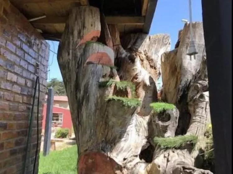 ホテル Cabañas Villa Ines De Suesca