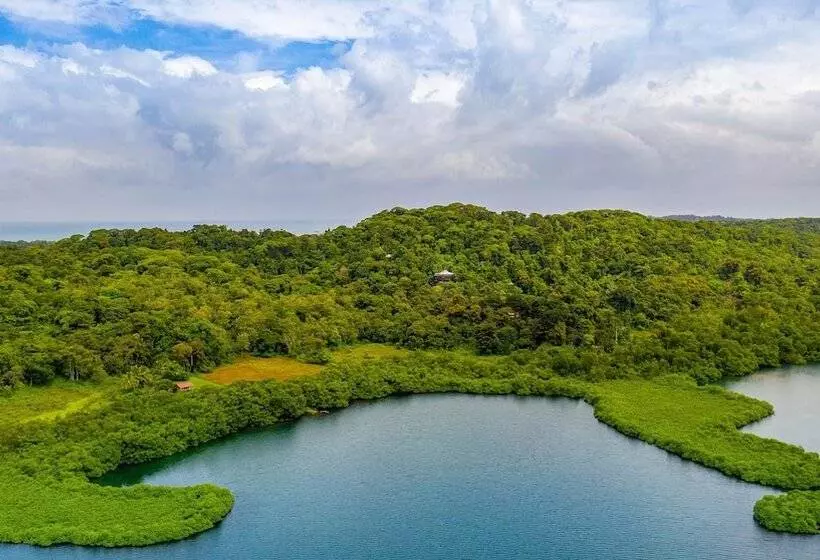 ホテル La Loma Jungle Lodge