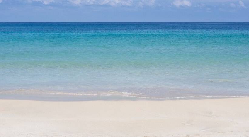 فندق La Loma Jungle Lodge