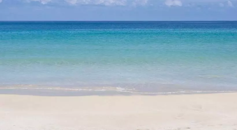 ホテル La Loma Jungle Lodge