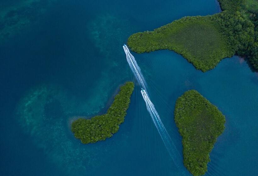 فندق La Loma Jungle Lodge