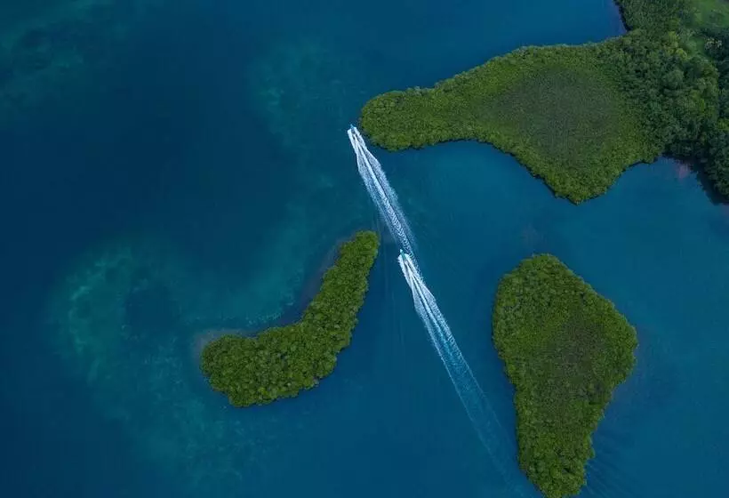 ホテル La Loma Jungle Lodge