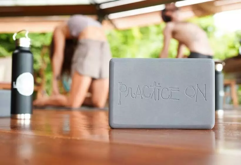 ホテル La Loma Jungle Lodge