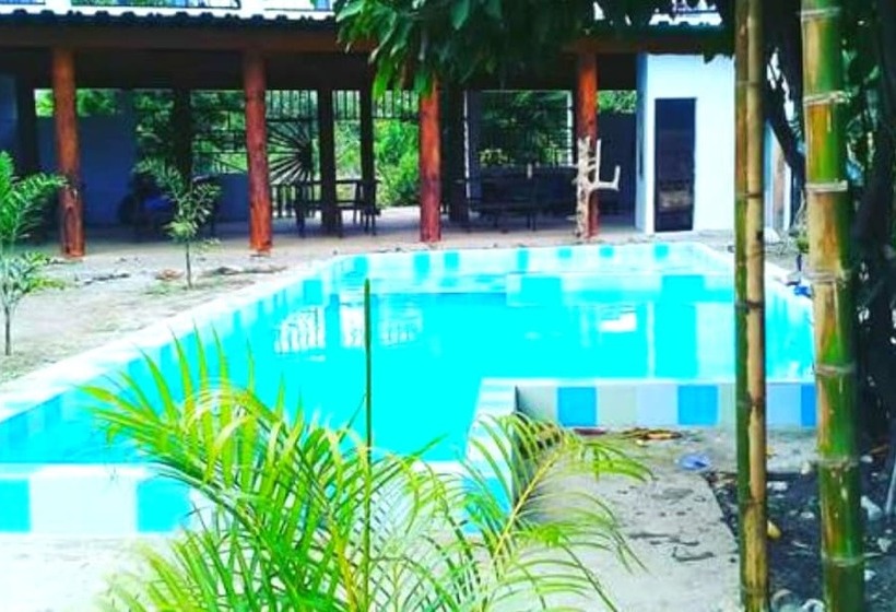 هتل Palomino Hostel By T2l