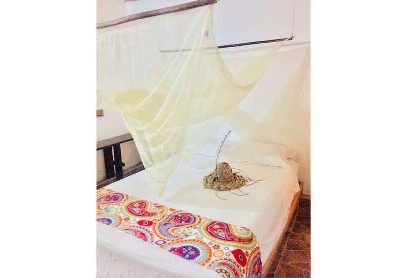 هتل Palomino Hostel By T2l