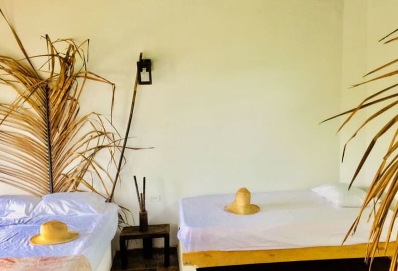 هتل Palomino Hostel By T2l