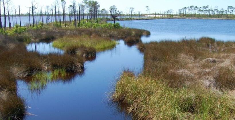 فندق San Carlos Condos