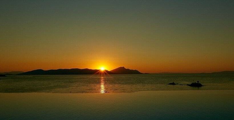 Olivia Sports And Sea