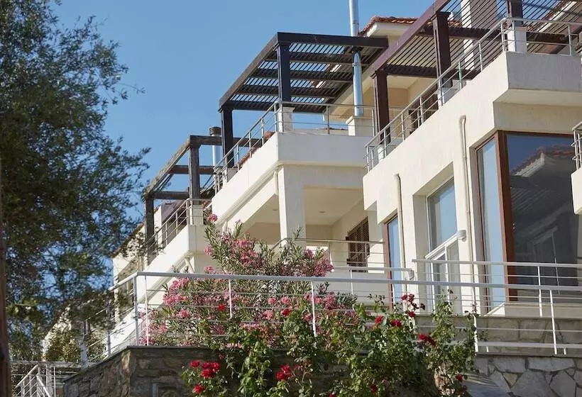 Olivia Sports And Sea