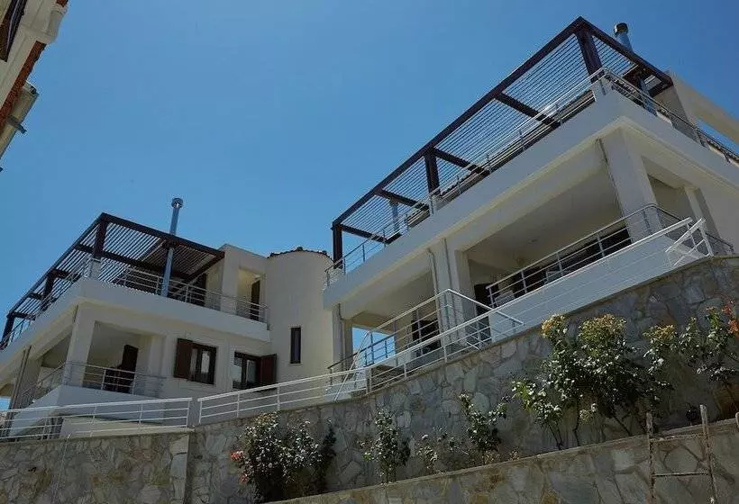 Olivia Sports And Sea