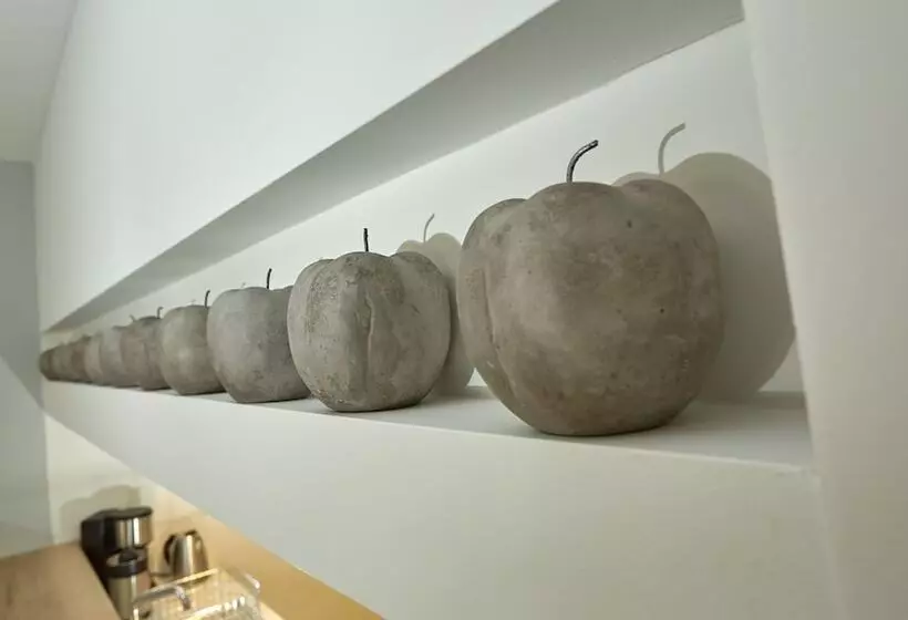 Olivia Sports And Sea