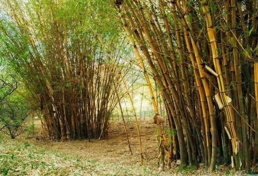 Пансион Casa La Caracola Vilcabamba