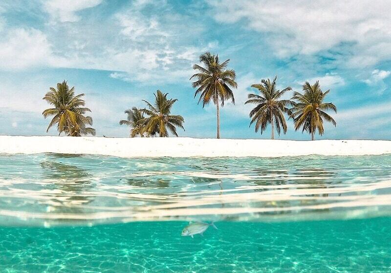 پانسیون Cliff Retreat