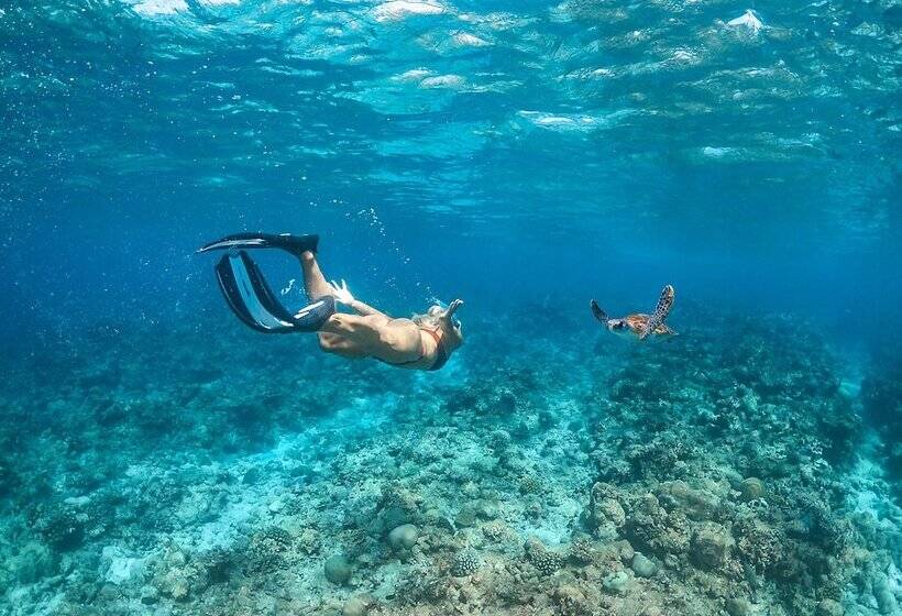 پانسیون Cliff Retreat