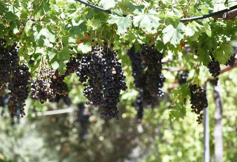 ペンション Elia Guesthouse