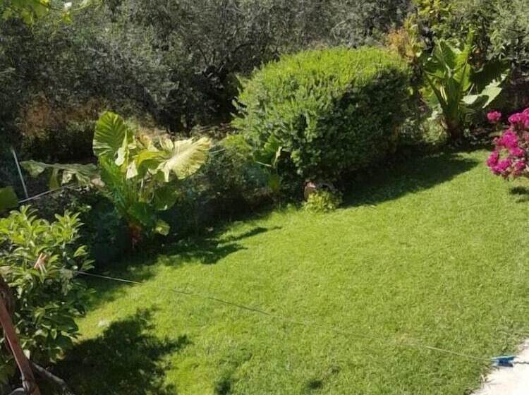 ペンション Elia Guesthouse