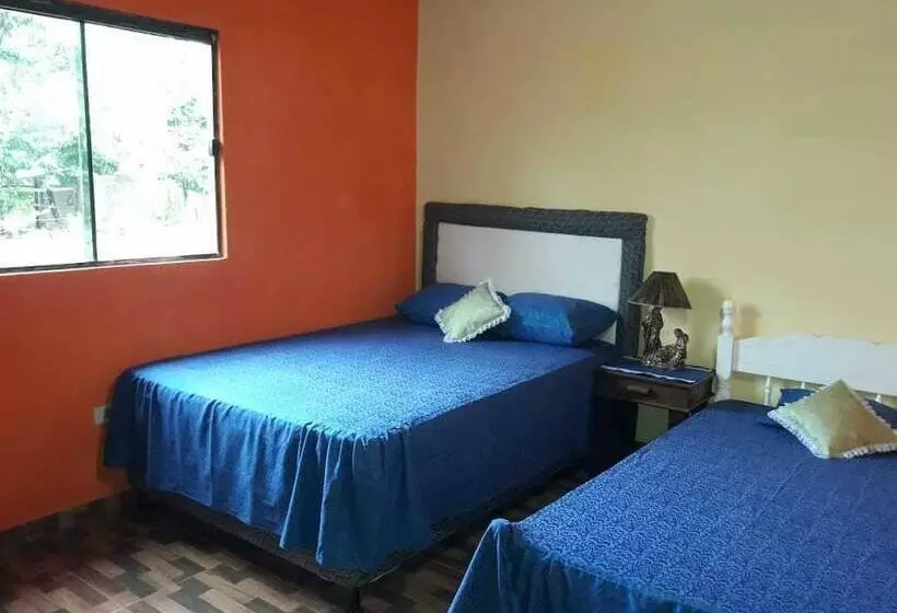 پانسیون Posada San Blas