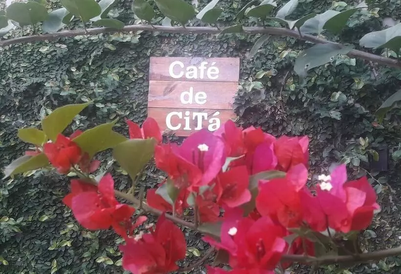 Aamiaismajoitus (B&B) Casa Citá