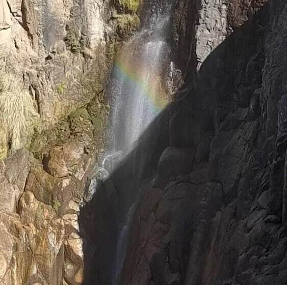 Cabañas Las Gemelas Barrancas Del Cobre