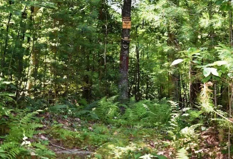 Chattahoochee Chillin