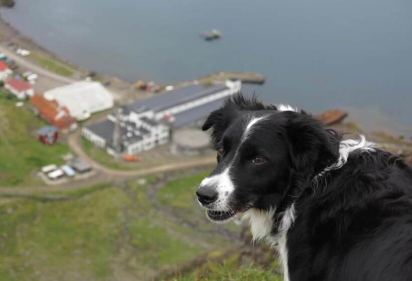 هتل Hótel Djúpavík