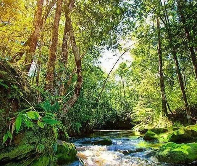 Hotelli Pousada Aldeia Mari Mari Amazon Lodge