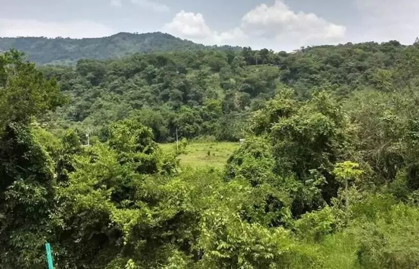 ホテル Spa Excalibur