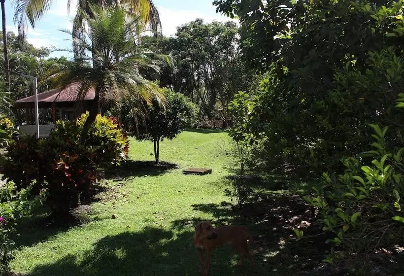 ホテル Spa Excalibur