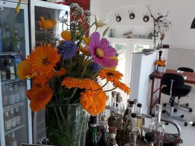 Hotelli Tante Tut & Onkel E   B & B