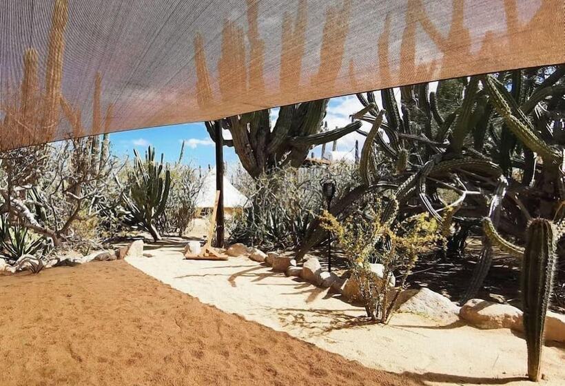 Отель Wind Rider Club