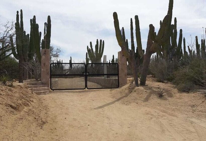 Отель Wind Rider Club