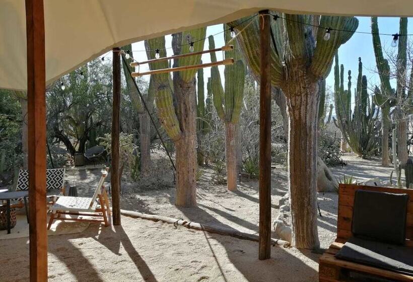 Отель Wind Rider Club