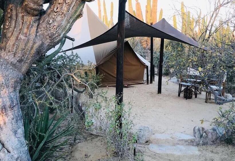 Отель Wind Rider Club