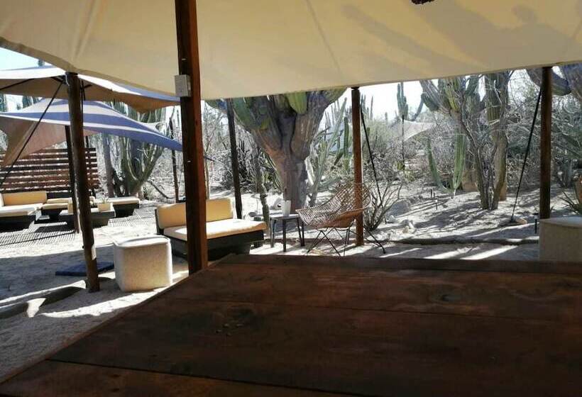 Отель Wind Rider Club