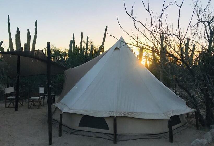 Отель Wind Rider Club