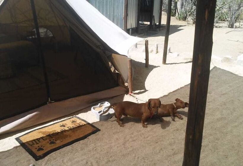 Отель Wind Rider Club