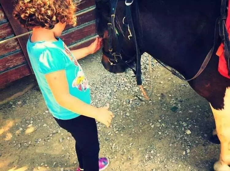 ペンション Chambres D Hôtes La Ferme De Montard