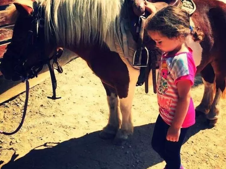 ペンション Chambres D Hôtes La Ferme De Montard